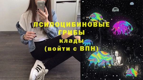 не бодяженный Алексин