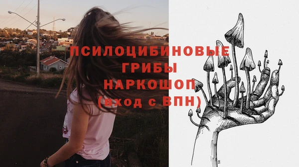 прущий лед Алексеевка