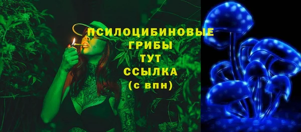не бодяженный Алексин