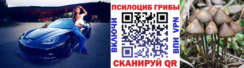Галлюциногенные грибы Cubensis Анжеро-Судженск