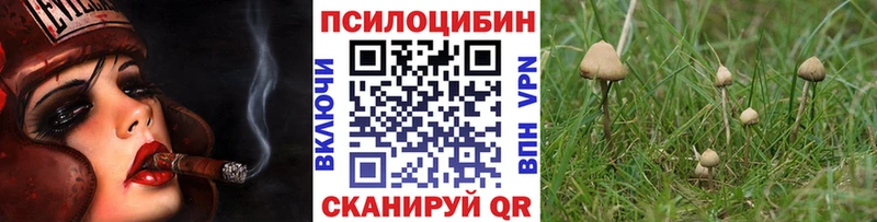 Галлюциногенные грибы Cubensis  Анжеро-Судженск 